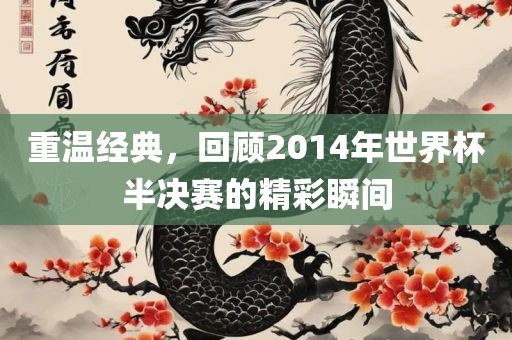 重温经典，回顾201眉山市正发家政服务有限公司4年世界杯半决赛的精彩瞬间