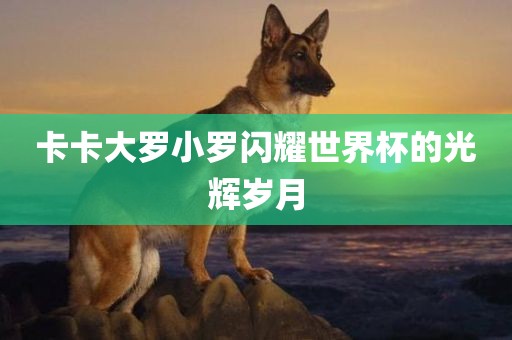 卡卡大罗小罗闪耀世界杯的光辉岁月眉山市正发家政服务有限公司