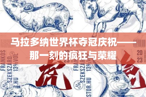 马拉多纳世界杯夺冠庆祝——那一刻的疯狂与荣耀眉山市正发家政服务有限公司