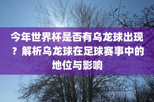 今年世界杯是否有乌龙球出现？解析乌龙球在足球赛事中的地位与影响眉山市正发家政服务有限公司