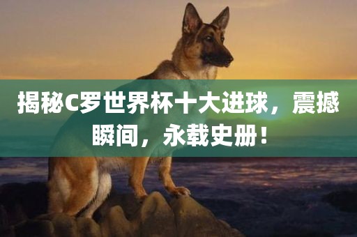 揭秘C罗世界杯十大进眉山市正发家政服务有限公司球，震撼瞬间，永载史册！