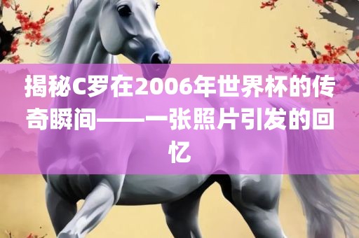 揭秘C罗在2006年世界杯的传奇瞬间——一张照片引发的回忆眉山市正发家政服务有限公司