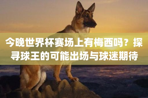 今晚世界杯赛场上有梅西吗？探寻球王的可能出场与球迷期待眉山市正发家政服务有限公司