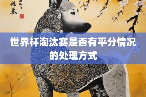 世界杯淘汰赛是否有平分情况的处理方式