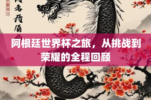 阿根廷世界杯之旅，从挑战到荣眉山市正发家政服务有限公司耀的全程回顾
