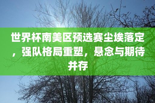 世界杯南美区预选赛尘埃落定，强队格局重塑，悬念与期待并存