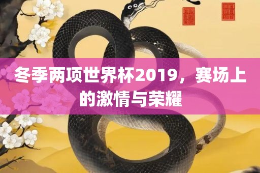 冬季两项世界杯2019，赛场上的激情与荣耀眉山市正发家政服务有限公司