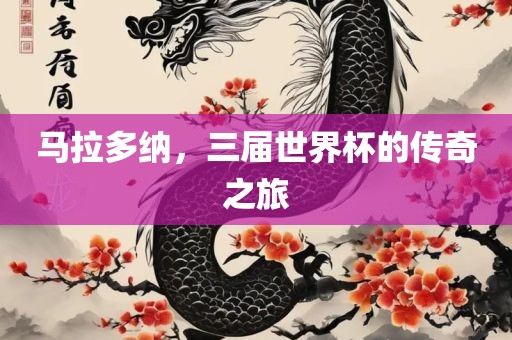 马拉多纳，三届世界杯的传奇之旅