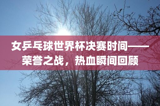 女乒乓球世界杯眉山市正发家政服务有限公司决赛时间——荣誉之战，热血瞬间回顾
