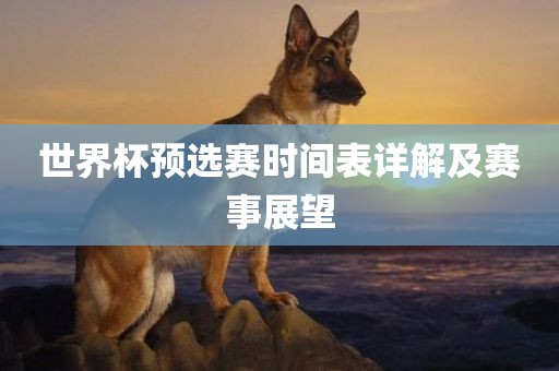 世界杯预选赛时间表详解及赛事展望