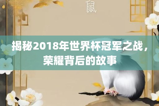 揭秘2018年世界杯冠军之战，荣耀背后的故事