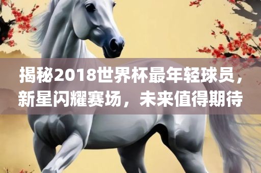 揭秘2018世界杯最年轻球员，新星闪耀赛场，未来值得期待眉山市正发家政服务有限公司
