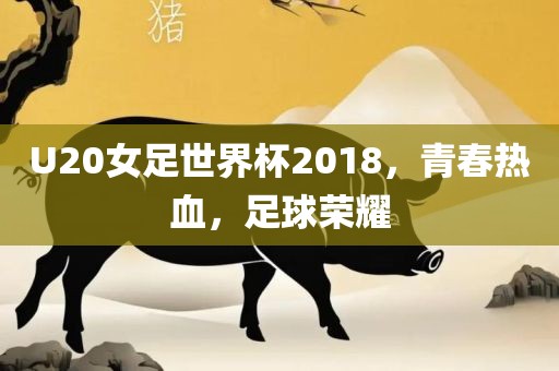 U20女足世界杯2018，青春热血，足球荣耀
