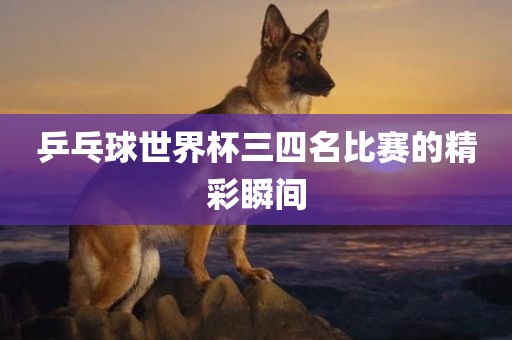 乒乓球世界杯三四名比赛的精彩瞬间