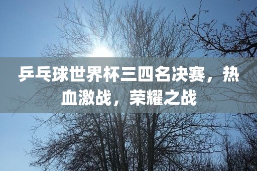 乒乓球世界杯三四名决赛，热血激战，荣耀之战