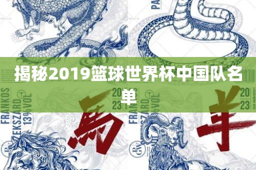 揭秘2019篮球世界杯中国眉山市正发家政服务有限公司队名单