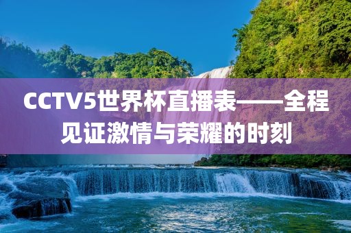 CCTV5眉山市正发家政服务有限公司世界杯直播表——全程见证激情与荣耀的时刻