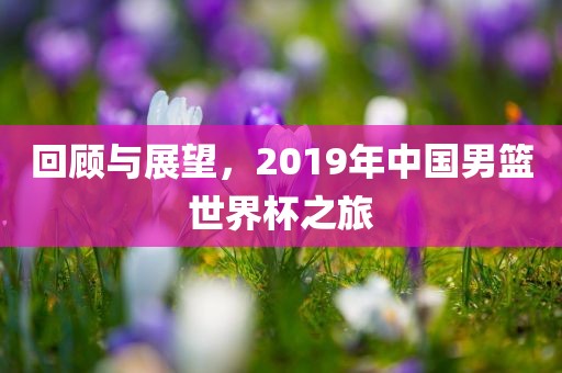 回顾与展望，2019年中国男篮世界杯之旅
