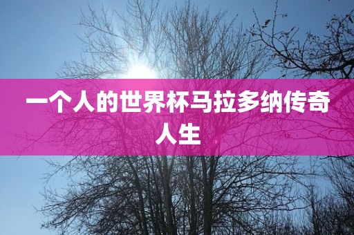 zhenzhi