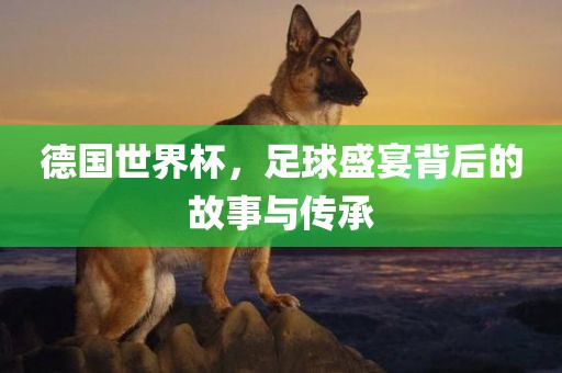 德国世界杯，足球盛宴背后的故事与传承眉山市正发家政服务有限公司