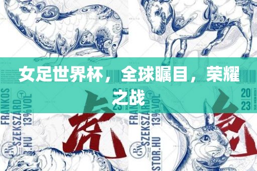 女足世界杯，全球瞩目，荣耀之战