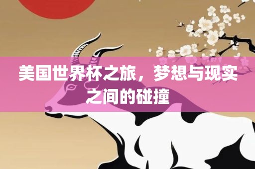 美国世界杯之旅，梦想与现实之间的碰撞