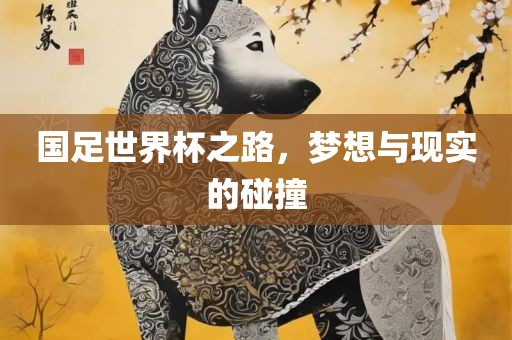 国足世界杯之路，梦想与现实的碰撞