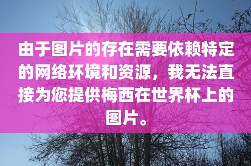由于图片的存在需要依赖特定的网络环境和资源，我无法直接为您提供梅西在世界杯上的图片。眉山市正发家政服务有限公司
