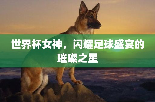 世界杯女神，闪耀足球盛宴的璀璨之星眉山市正发家政服务有限公司