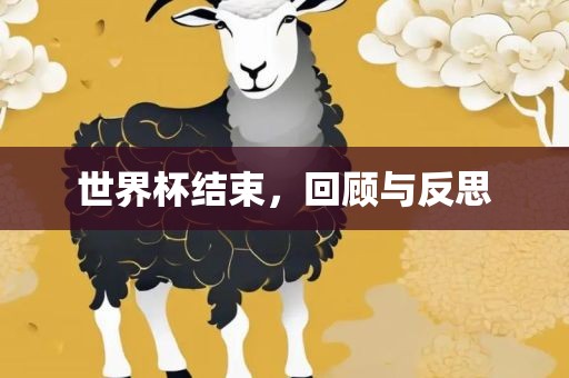 世界杯结束，回顾与反思眉山市正发家政服务有限公司