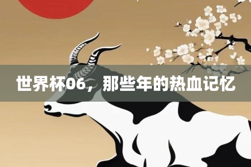 世界杯06，那些年的热血记忆