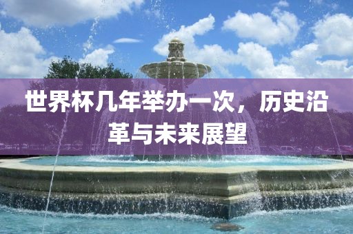 世界杯几年举办一次，历史沿革与未来展望眉山市正发家政服务有限公司