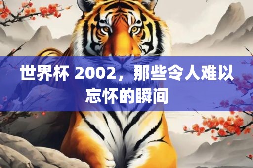 世界杯 2002，那些令人难以忘怀的瞬间