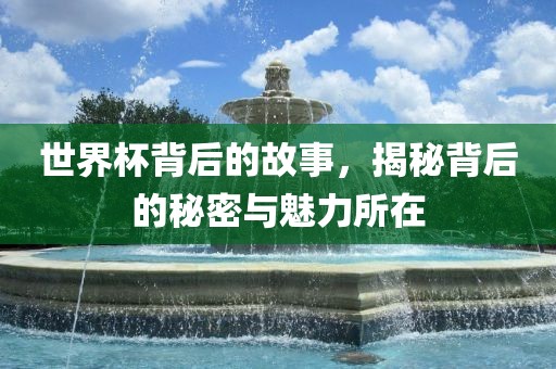 世界杯背后的故事，揭秘背后的秘密与魅力所在眉山市正发家政服务有限公司