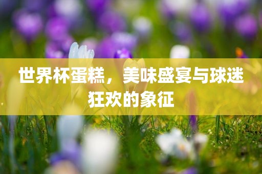 世界杯蛋糕，美味盛宴与球迷狂欢的象征