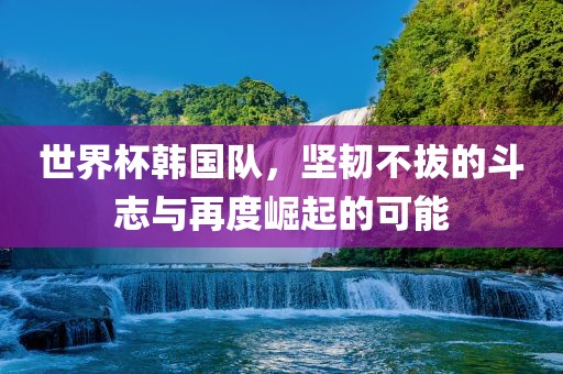 世界杯韩国队，坚韧不拔的斗志与再度崛起的可能