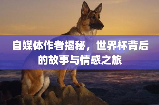 自媒体作者揭秘，世界杯背后的故事与情感之旅