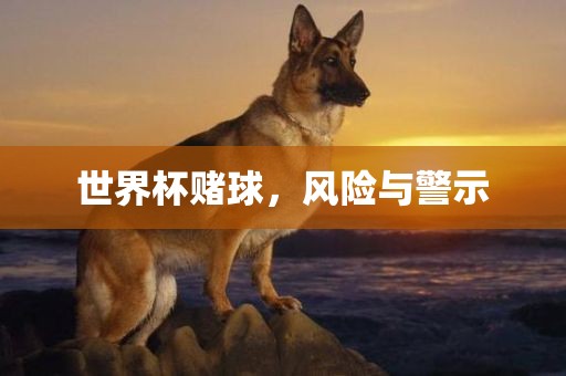 世界杯赌球，风险与警示
