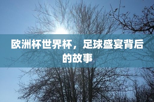 欧洲杯世界杯，足球盛宴背后的故事