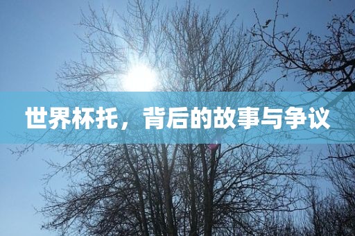 世界杯托，背后的故事与争议