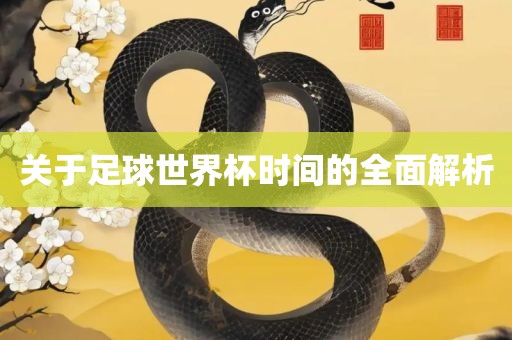 关于足球世界杯时间的全面解析