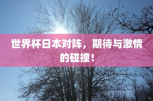 世界杯日本对阵，期待与激情的碰撞！