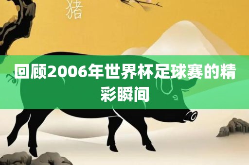 回顾2006年世界杯足球赛的精彩瞬间