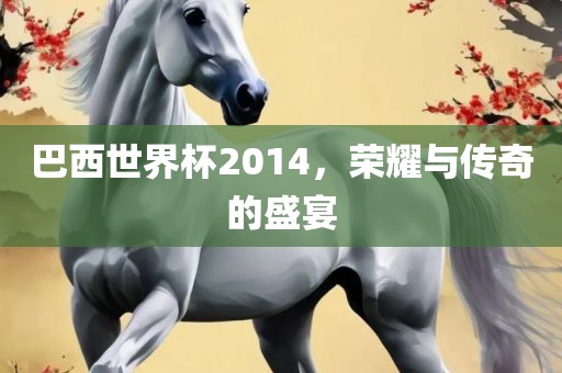 巴西世界杯2014，荣耀与传奇的盛宴