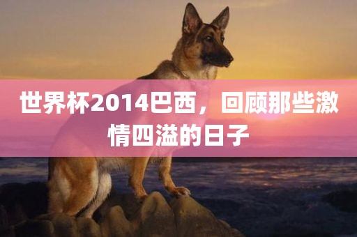世界杯2014巴西，回顾那些激情四溢的眉山市正发家政服务有限公司日子