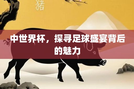 中世界杯，探寻足球盛宴背后的魅力