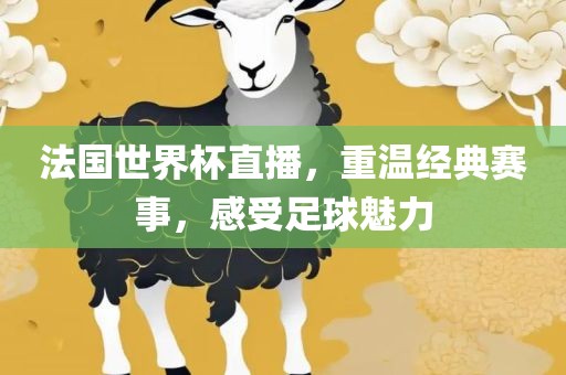 法国世界杯直播，重温经典赛事，感受足球魅力