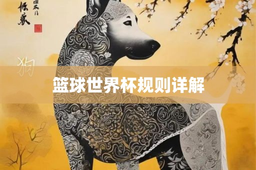 篮球世界杯规则详解