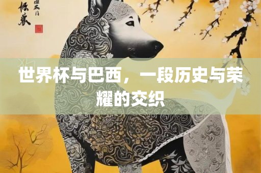世界杯与巴西，一段历史与荣耀的交织