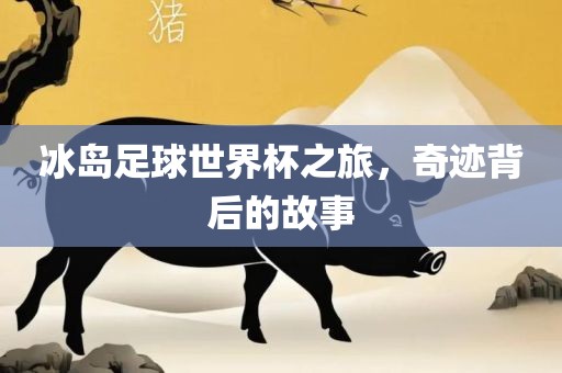 冰岛足球世界杯之旅，奇迹背后的故事